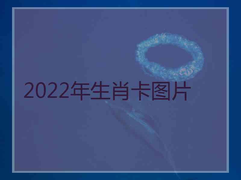 2022年生肖卡图片