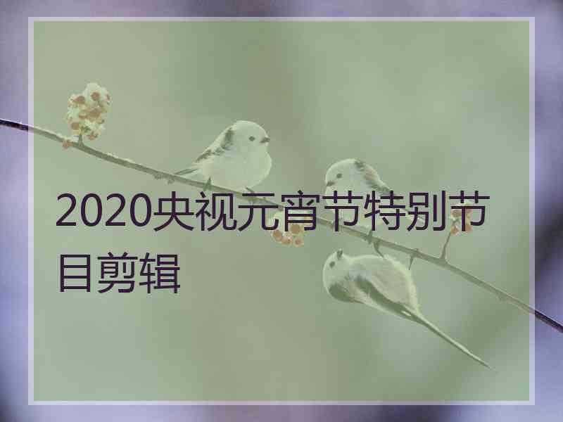 2020央视元宵节特别节目剪辑