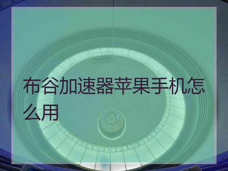 布谷加速器苹果手机怎么用