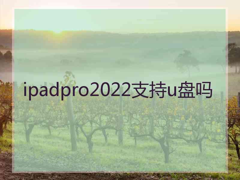 ipadpro2022支持u盘吗