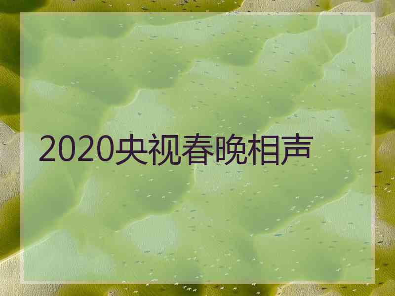 2020央视春晚相声