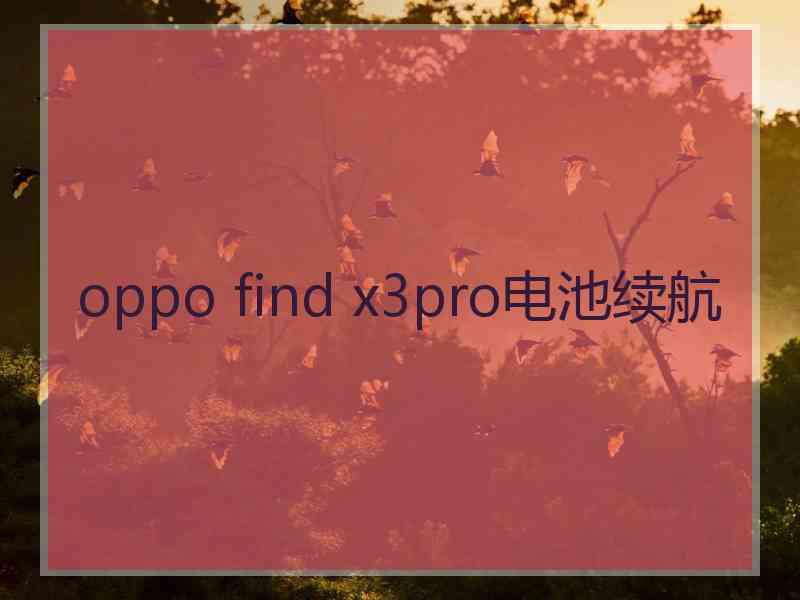 oppo find x3pro电池续航