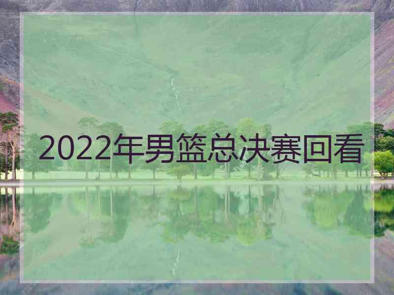 2022年男篮总决赛回看