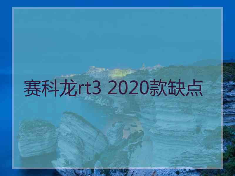 赛科龙rt3 2020款缺点