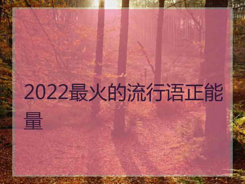 2022最火的流行语正能量