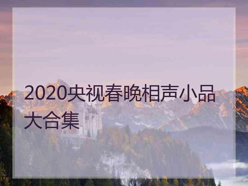 2020央视春晚相声小品大合集