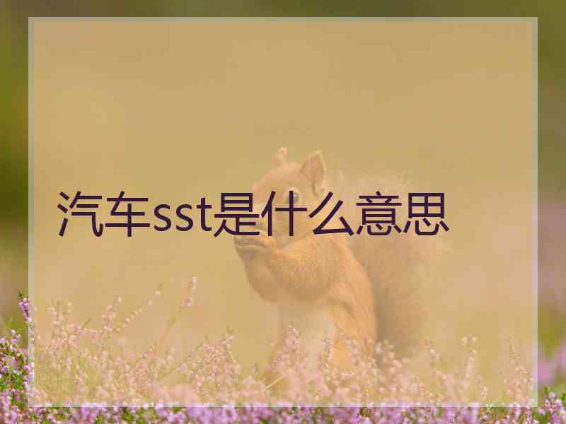 汽车sst是什么意思