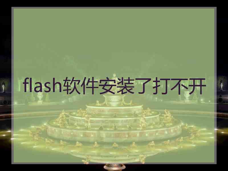 flash软件安装了打不开