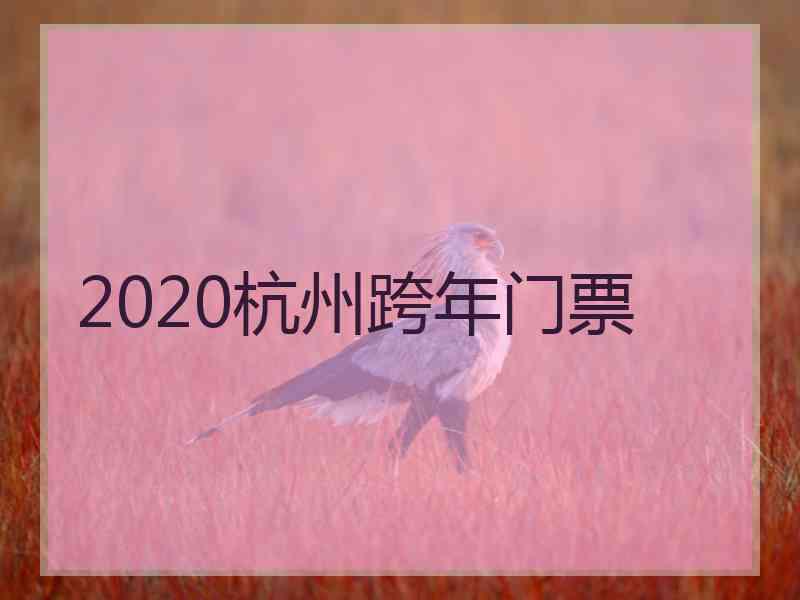 2020杭州跨年门票