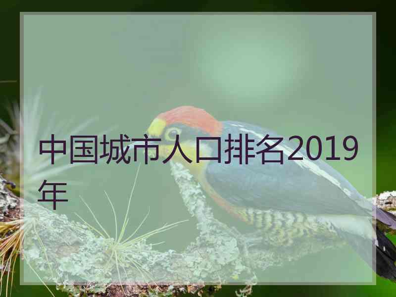 中国城市人口排名2019年