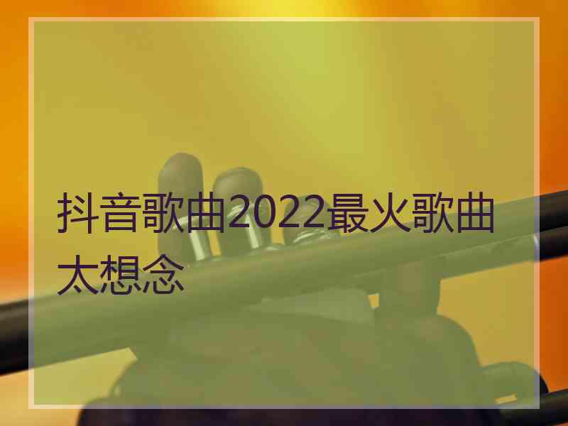 抖音歌曲2022最火歌曲太想念