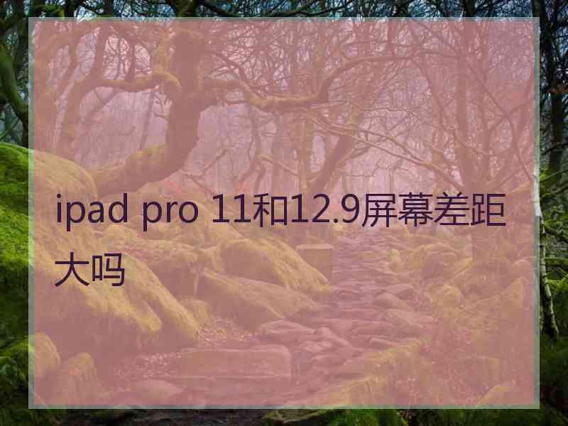 ipad pro 11和12.9屏幕差距大吗