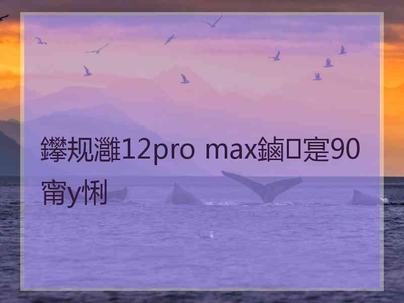 鑻规灉12pro max鏀寔90甯у悧