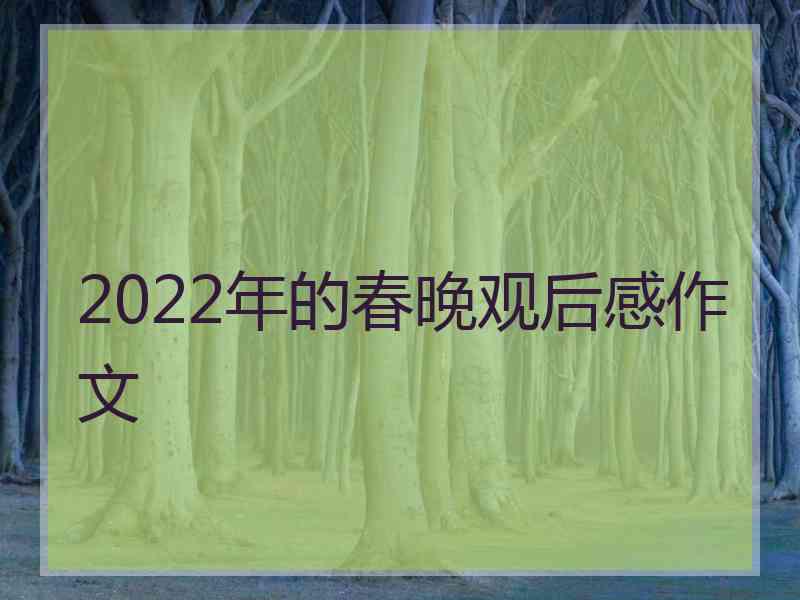 2022年的春晚观后感作文