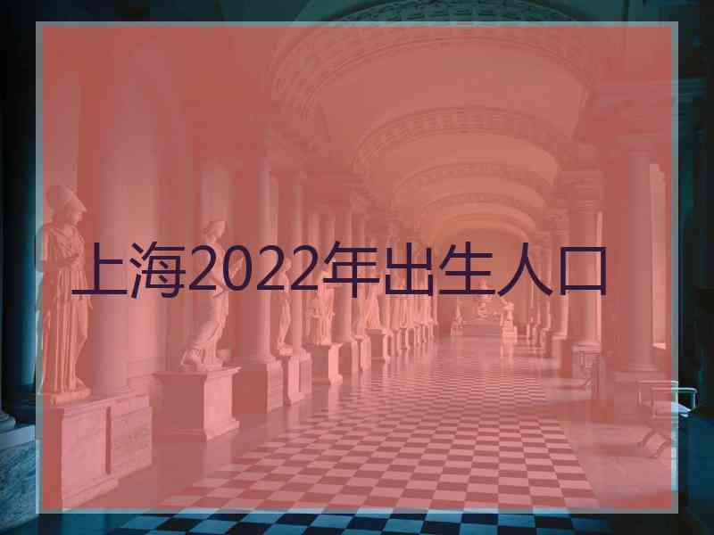 上海2022年出生人口