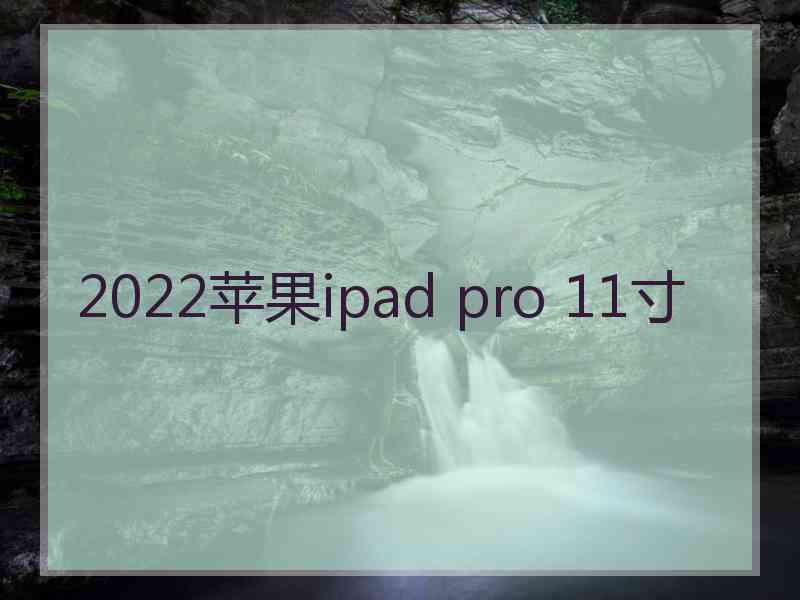 2022苹果ipad pro 11寸