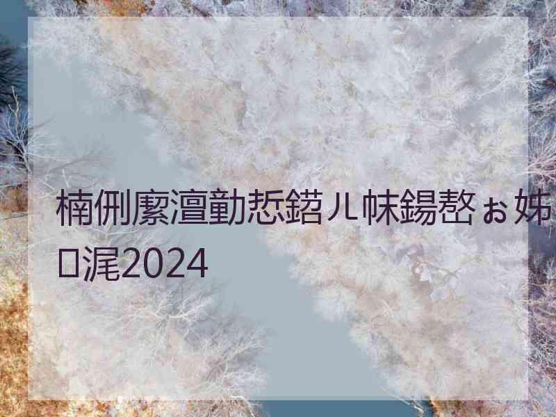 楠侀緳澶勭悊鍣ㄦ帓鍚嶅ぉ姊浘2024