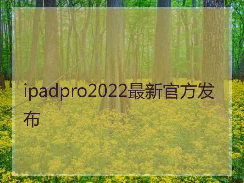 ipadpro2022最新官方发布