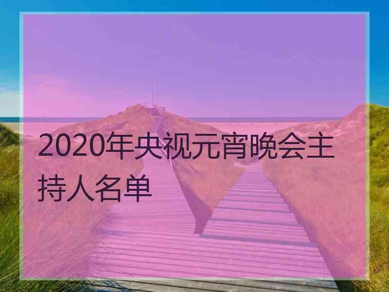 2020年央视元宵晚会主持人名单