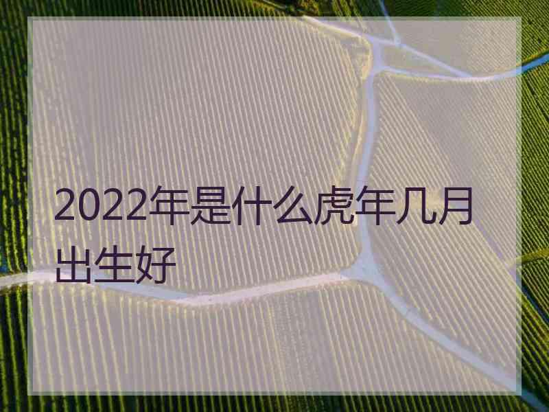 2022年是什么虎年几月出生好