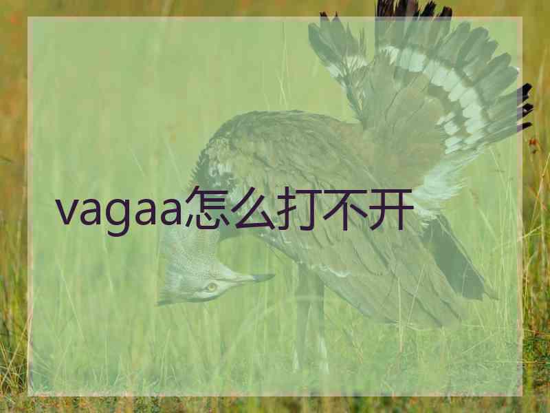 vagaa怎么打不开