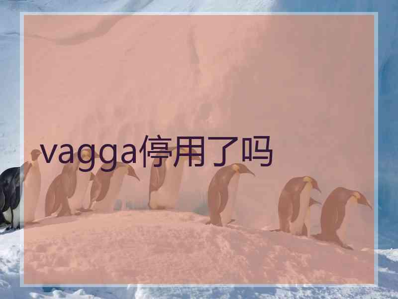 vagga停用了吗