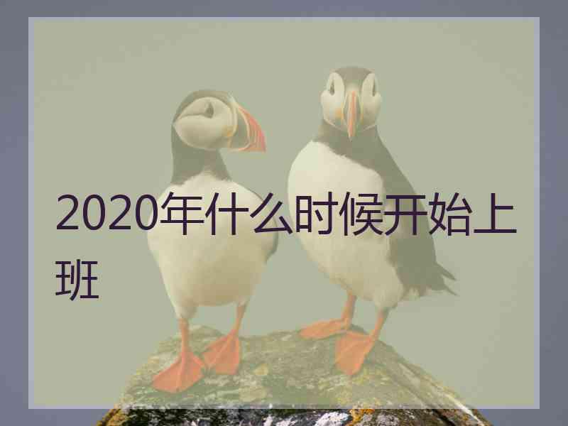 2020年什么时候开始上班