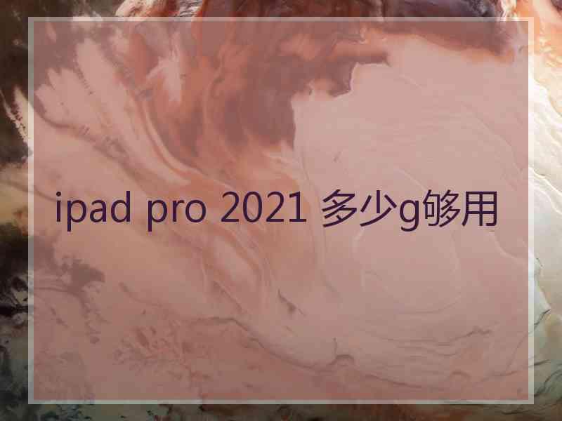 ipad pro 2021 多少g够用