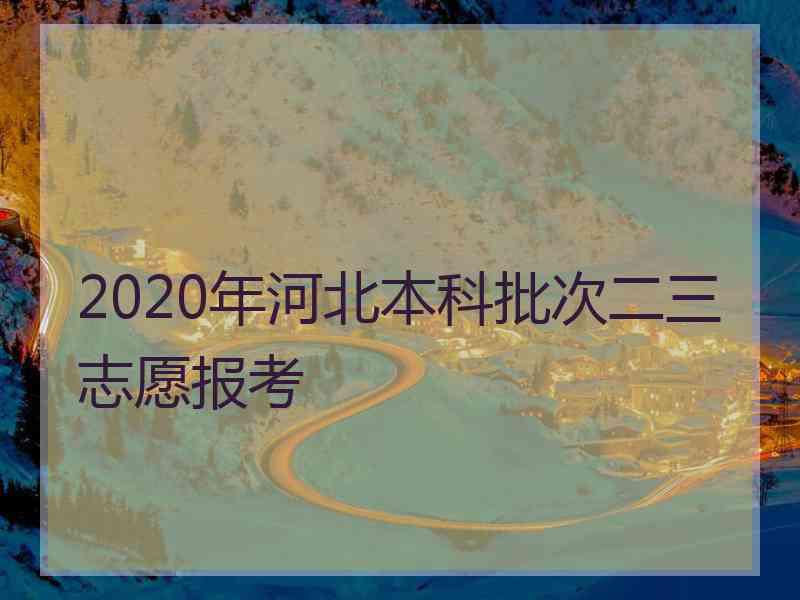 2020年河北本科批次二三志愿报考