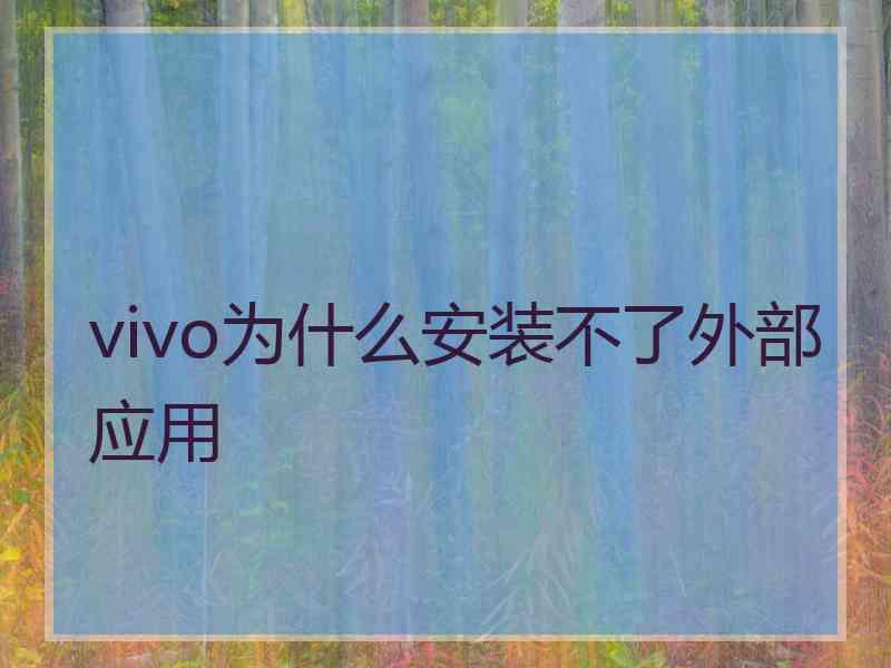 vivo为什么安装不了外部应用