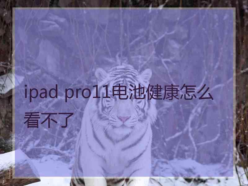 ipad pro11电池健康怎么看不了