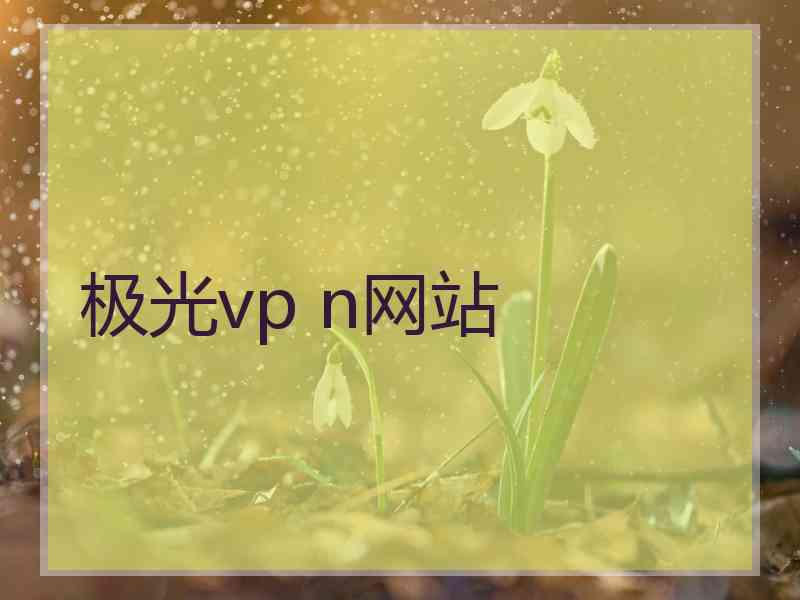 极光vp n网站