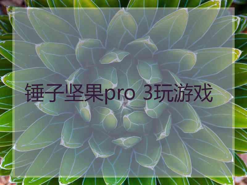 锤子坚果pro 3玩游戏