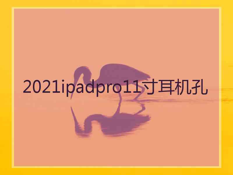 2021ipadpro11寸耳机孔