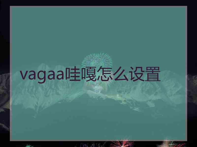 vagaa哇嘎怎么设置