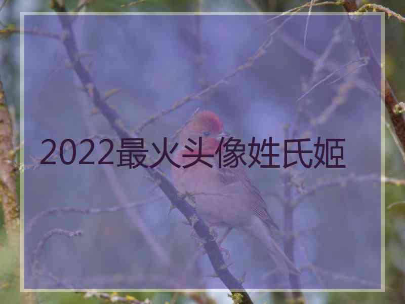 2022最火头像姓氏姬