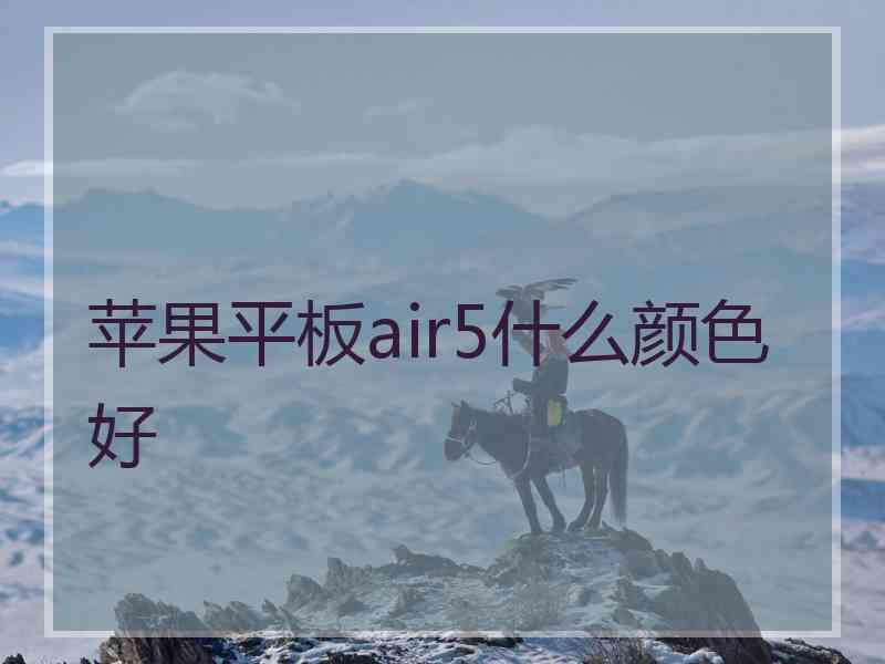 苹果平板air5什么颜色好