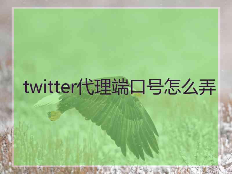 twitter代理端口号怎么弄