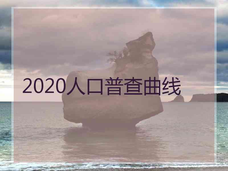 2020人口普查曲线