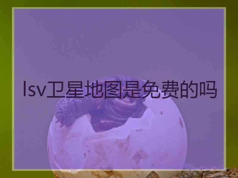 lsv卫星地图是免费的吗