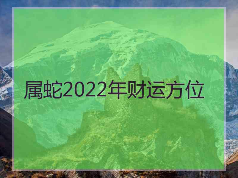 属蛇2022年财运方位