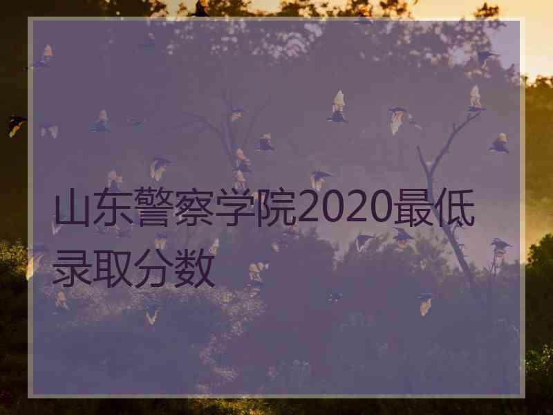 山东警察学院2020最低录取分数