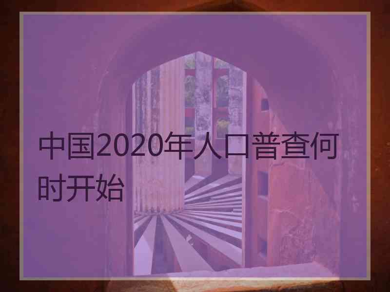 中国2020年人口普查何时开始