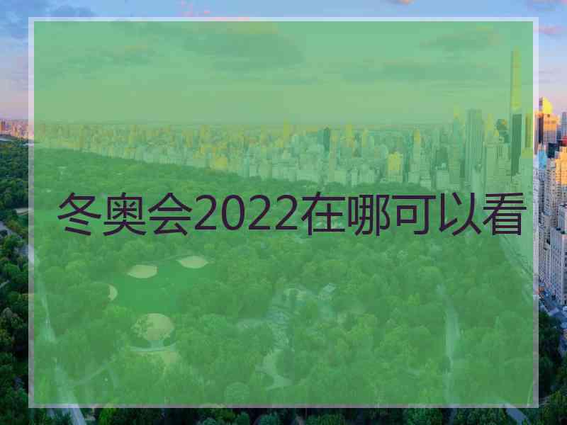 冬奥会2022在哪可以看