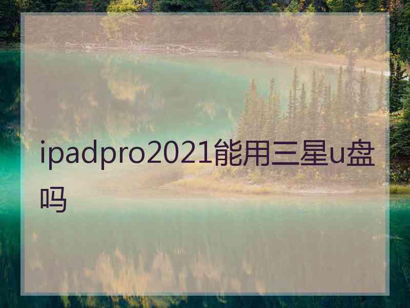 ipadpro2021能用三星u盘吗