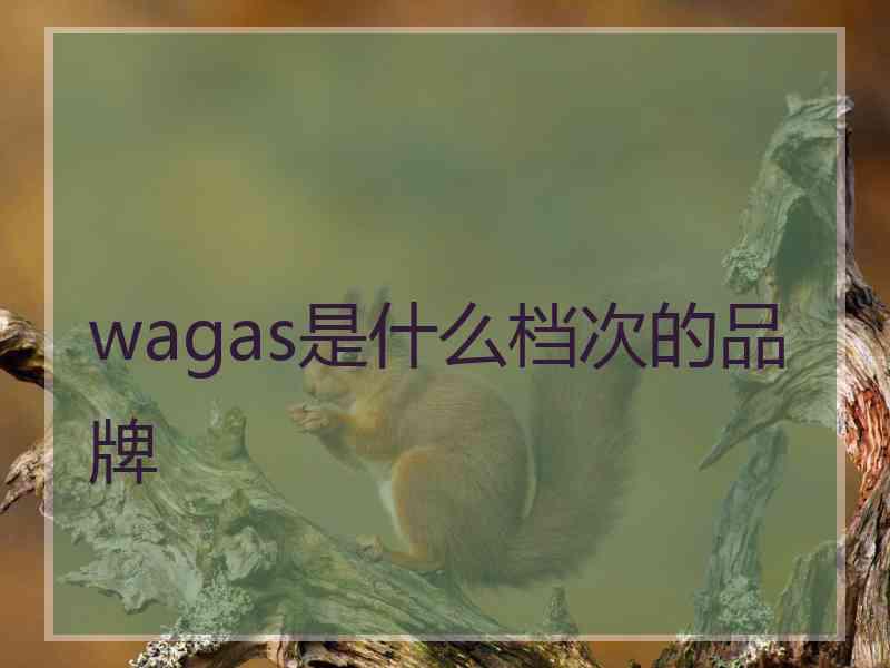 wagas是什么档次的品牌