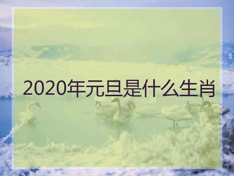 2020年元旦是什么生肖