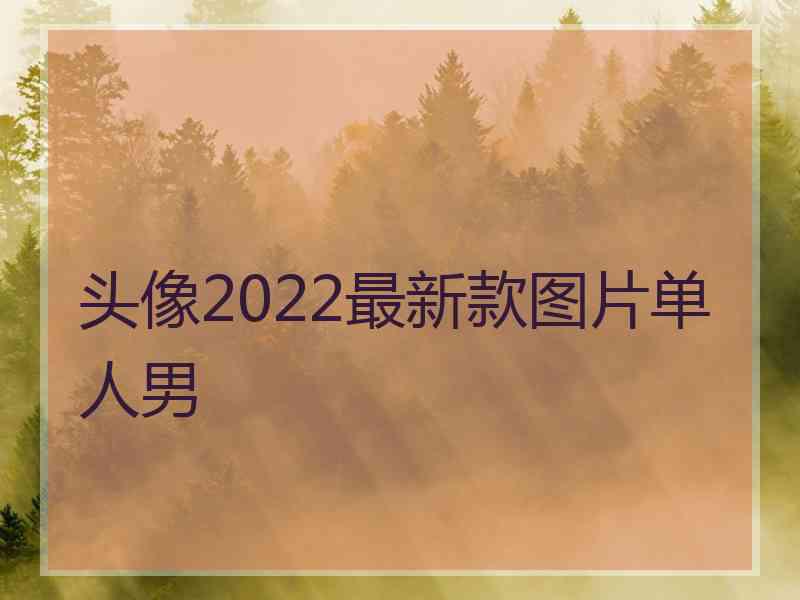 头像2022最新款图片单人男