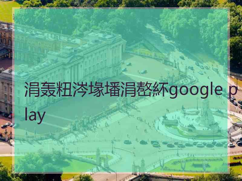 涓轰粈涔堟墦涓嶅紑google play