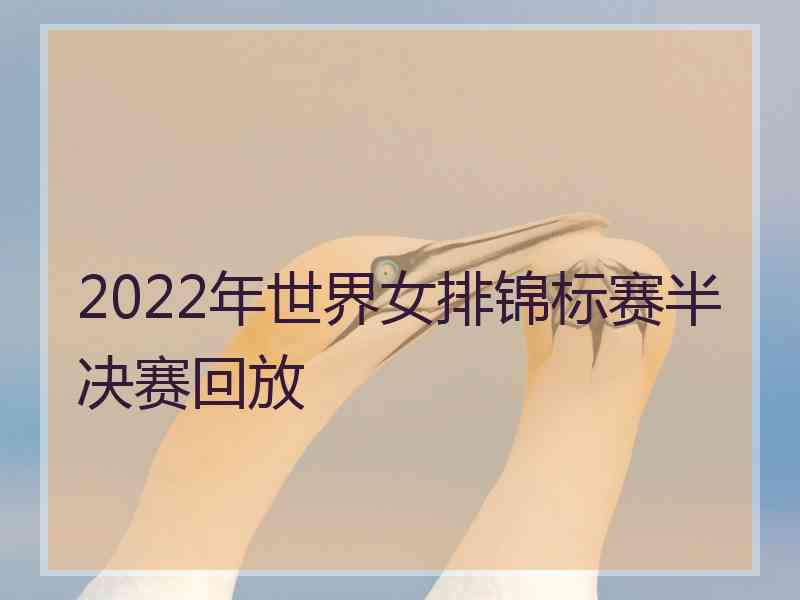 2022年世界女排锦标赛半决赛回放